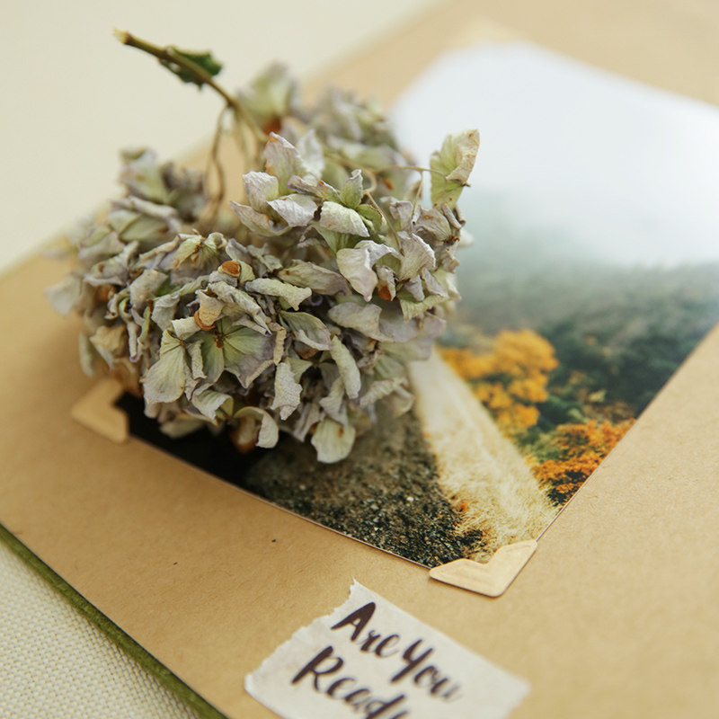 6张套组 纸质相片角贴 拙木纸品 DIY粘贴相册影集 配件工具材料