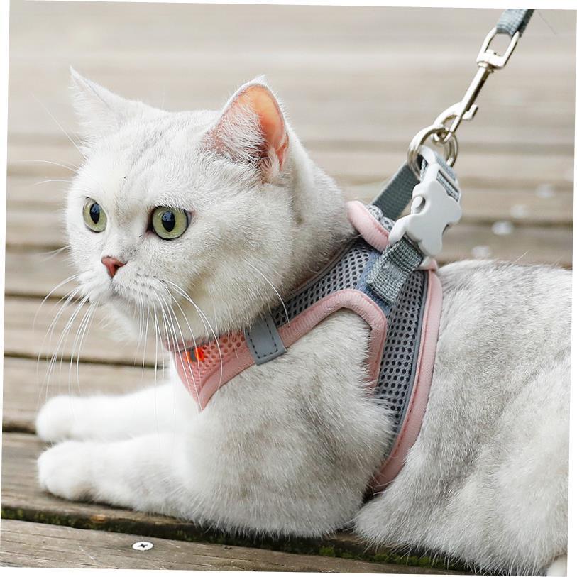 Breathable Cat Harness Leash Escape Proof Pet Clothes vest