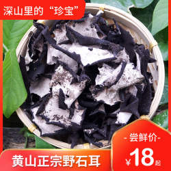 黄山石耳 黄山岩耳菌 岩菇 石壁花 脐衣 木耳干货食用菌 煲汤