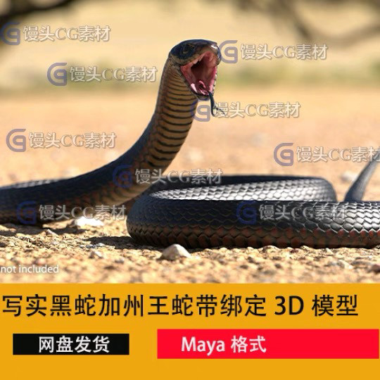 maya沙漠黑王蛇黑蛇毒蛇蟒蛇爬行动物带骨骼绑定3d模型工程文件