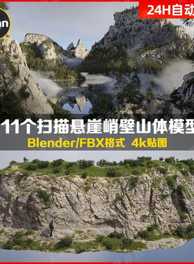 Blende11大型悬崖扫描峭壁岩石3D模型C4D海岸山体岩石地形8K纹理