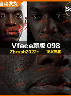 XYZ/Vface新版ZBrush写实高清扫描模型头16K皮肤贴图Kodwo098