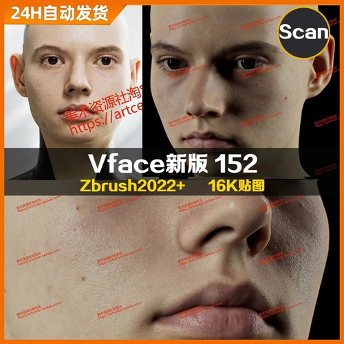 XYZ/Vface新版ZBrush写实高清扫描模型头16K皮肤贴图Yuliana152
