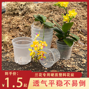 蝴蝶兰专用控根控水种植花盆透明加厚透气育苗杯石斛兰换盆