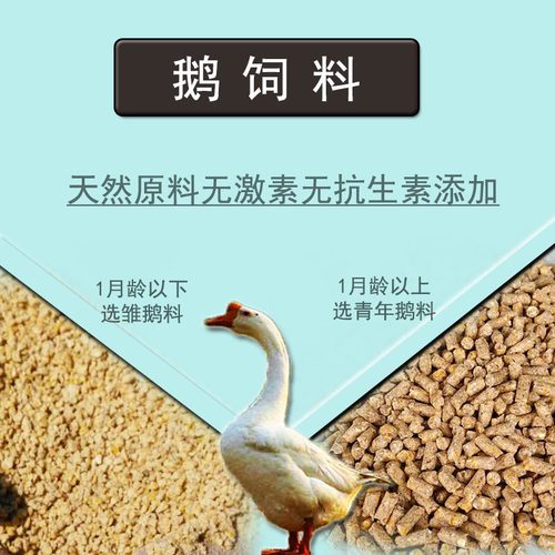 厂家直发鹅饲料华辛小鹅中鹅大鹅