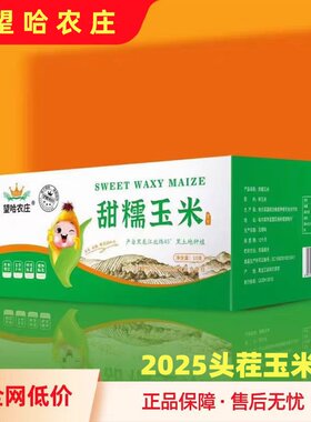 望哈农庄甜糯玉米 极速锁鲜 整箱10根 轻食 代餐 新玉米
