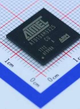 AT91SAM9X25-CU 单片机(MCU/MPU/SOC) AT91SAM9X25-CU BGA-217