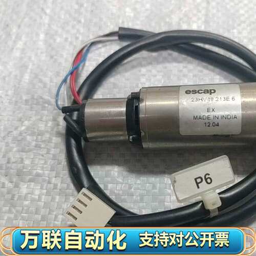 Portescap+23HV48+213E+6+直流马达，拆