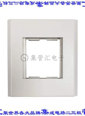 N042F-WF1 接插件连接器SINGLE-GANG FRENCH-STYLE GANG FR