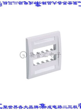 CFPE10IW-2GY 接插件连接器FACEPLATE, 10 PORT, DOUBLE GANG,