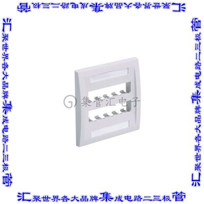 CFPE10IW-2GY 接插件连接器FACEPLATE, 10 PORT, DOUBLE GANG,