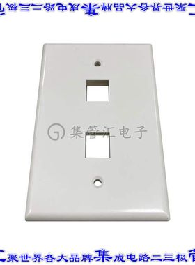 N042AB-002-IVG 接插件连接器SAFE-IT 2-PORT SINGLE-GANG KEYST