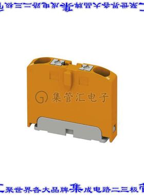 1028077 接线板专用连接器2POS中等5.2mm橙色