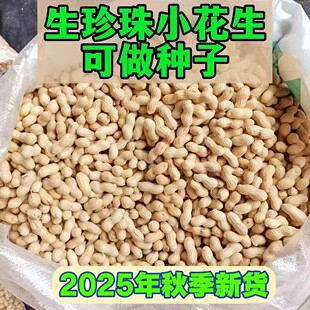2025年秋季新货珍珠小花生500g袋自然晒干带壳生花生坚果可做种子
