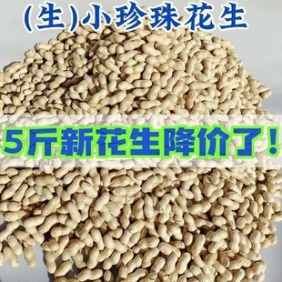 【无干燥剂】精选生小珍珠花生5斤装带壳新花生自然晒干坚果零食