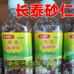 长泰砂仁新鲜盐腌制阳春新鲜春痧仁春沙仁