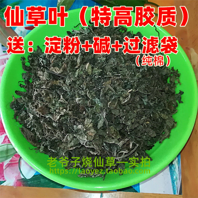 仙草叶子青草糊草粿老爷子烧仙草黑凉粉仙人饭送碱蕉芋粉过滤