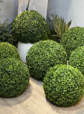 北欧风永生苔藓仿真绿植球摆件