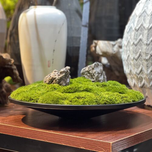 金属铜色永生苔藓盆景微景观 新中式酒店售楼处餐桌摆件花艺饰品