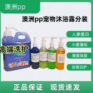 澳洲Plush Puppy沐浴露宠物猫狗比熊泰迪美白蓬松PP香波护毛素