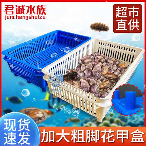 海鲜池大号粗腿花甲盒贝壳盒