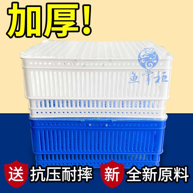 虾盒塑料筐贝类蛤蜊沥水篮图片