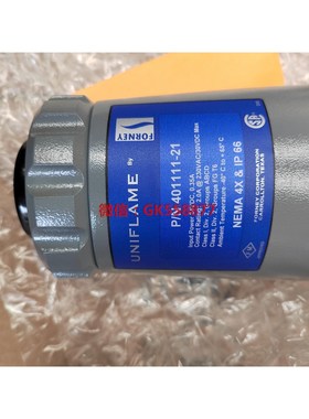 【议价】FORNEY PN401111-21实物照片