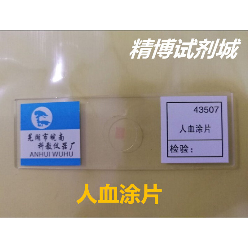运动神经元装片 人血涂片 生物切片显微镜标本教学玻片