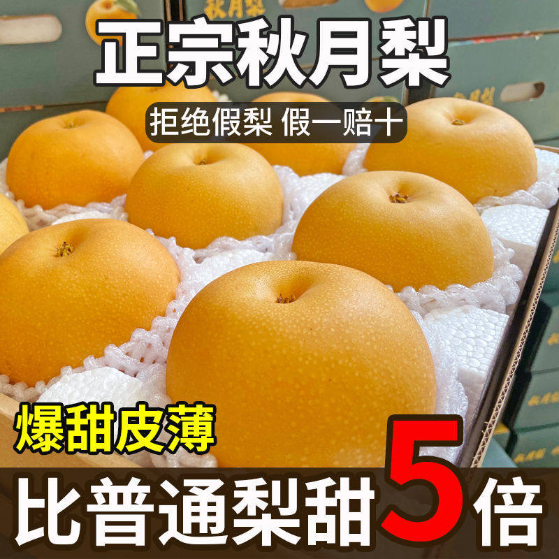 梨山东正宗秋月梨新鲜薄皮超甜大果梨子水果整箱10斤清热化痰