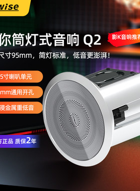 华尔思Q295mm开孔定阻吸顶音箱