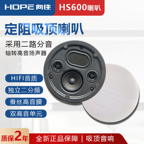 HS600环绕重低音蚕丝吸顶音箱