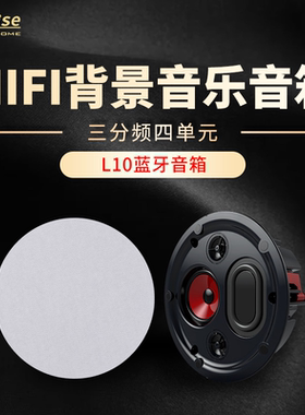 华尔思家装音箱吸顶232