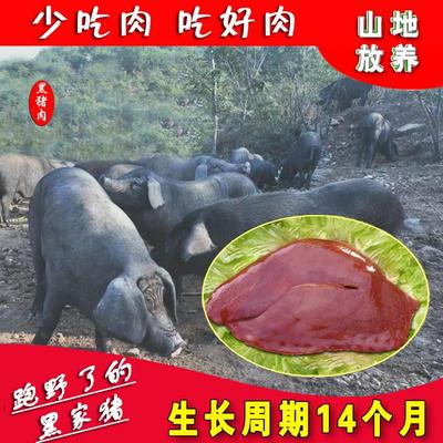 新品猪肝老兵绿黑猪土猪肉生猪肝新鲜农家散养猪肝1套约3.5斤