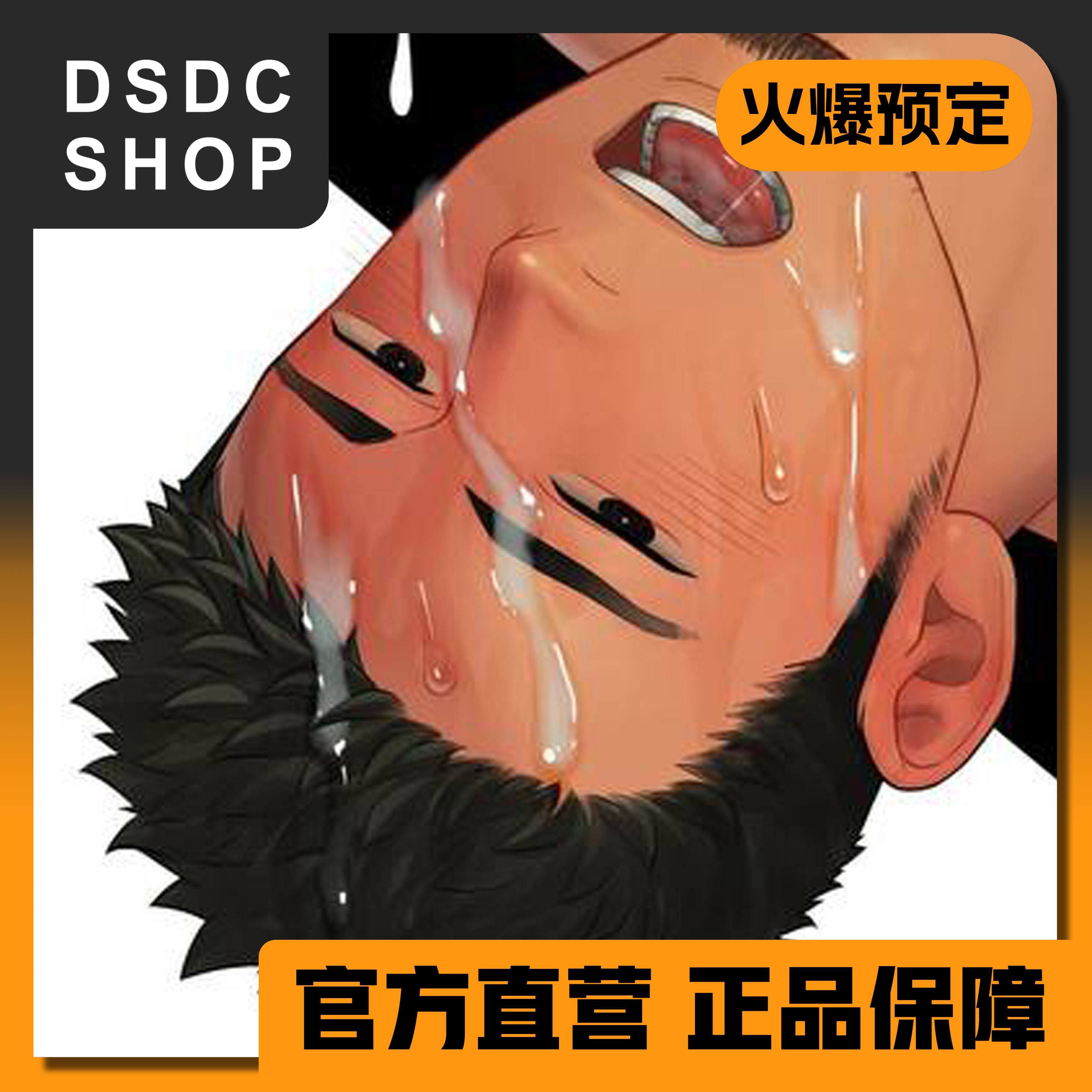 先行截止【DSDC SHOP】Mashiro Tatsuki 一十老师 手办 furry GK