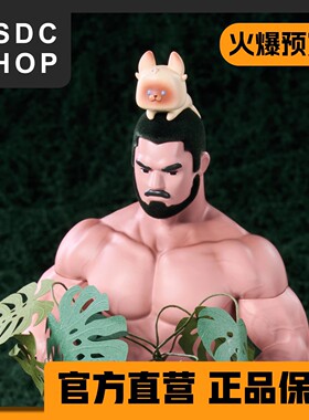 火爆预售【DSDC SHOP】植男小熊猫 顽根报工作室 手办 GK 雕像