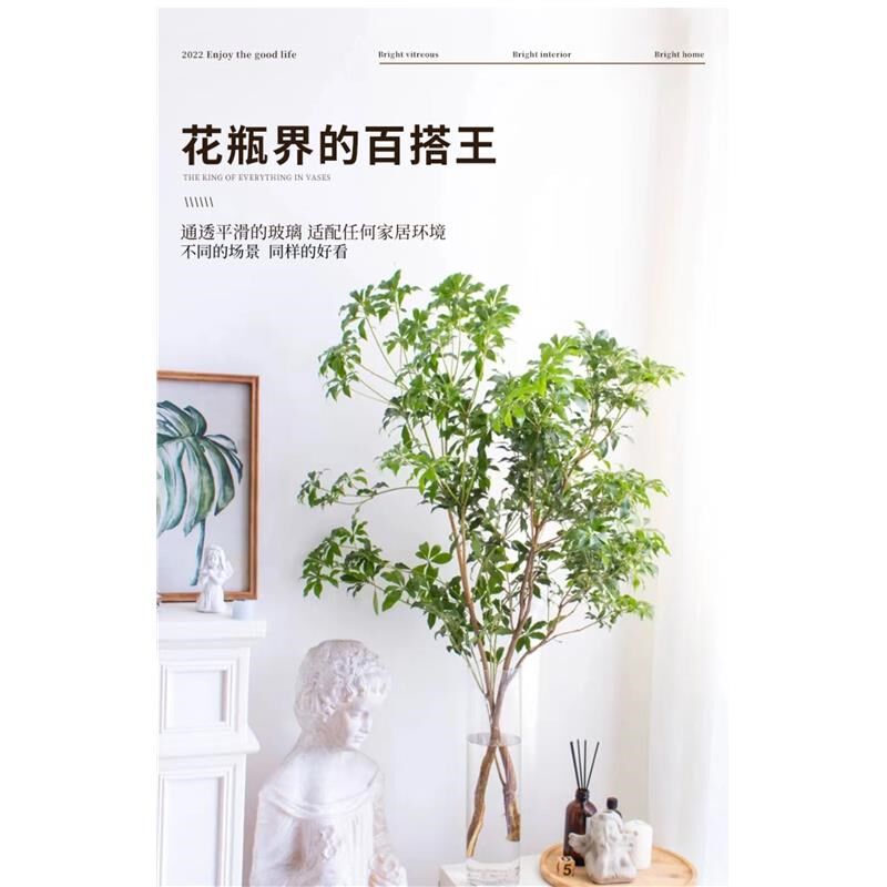 热销雪柳花瓶插花摆件马醉木水培植物干枝富贵竹龙柳专用透明玻璃