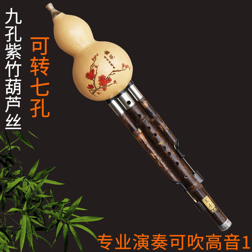 策音九孔葫芦丝可转七孔成人演奏