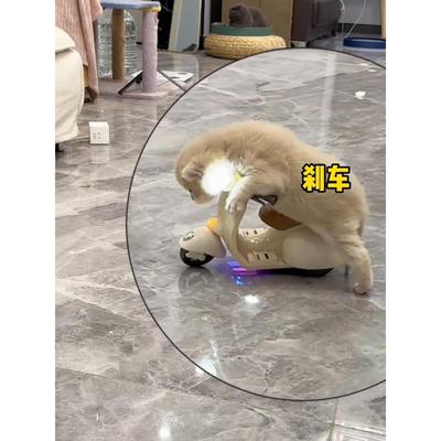 小猫咪电动车宠物玩具360旋转炫技摩托车卡通可爱迷你抖音同款