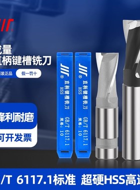 正品成量 直柄键槽铣刀 高速钢HSS 二刃铣刀 3 4 5 6 7 8 9 10-20