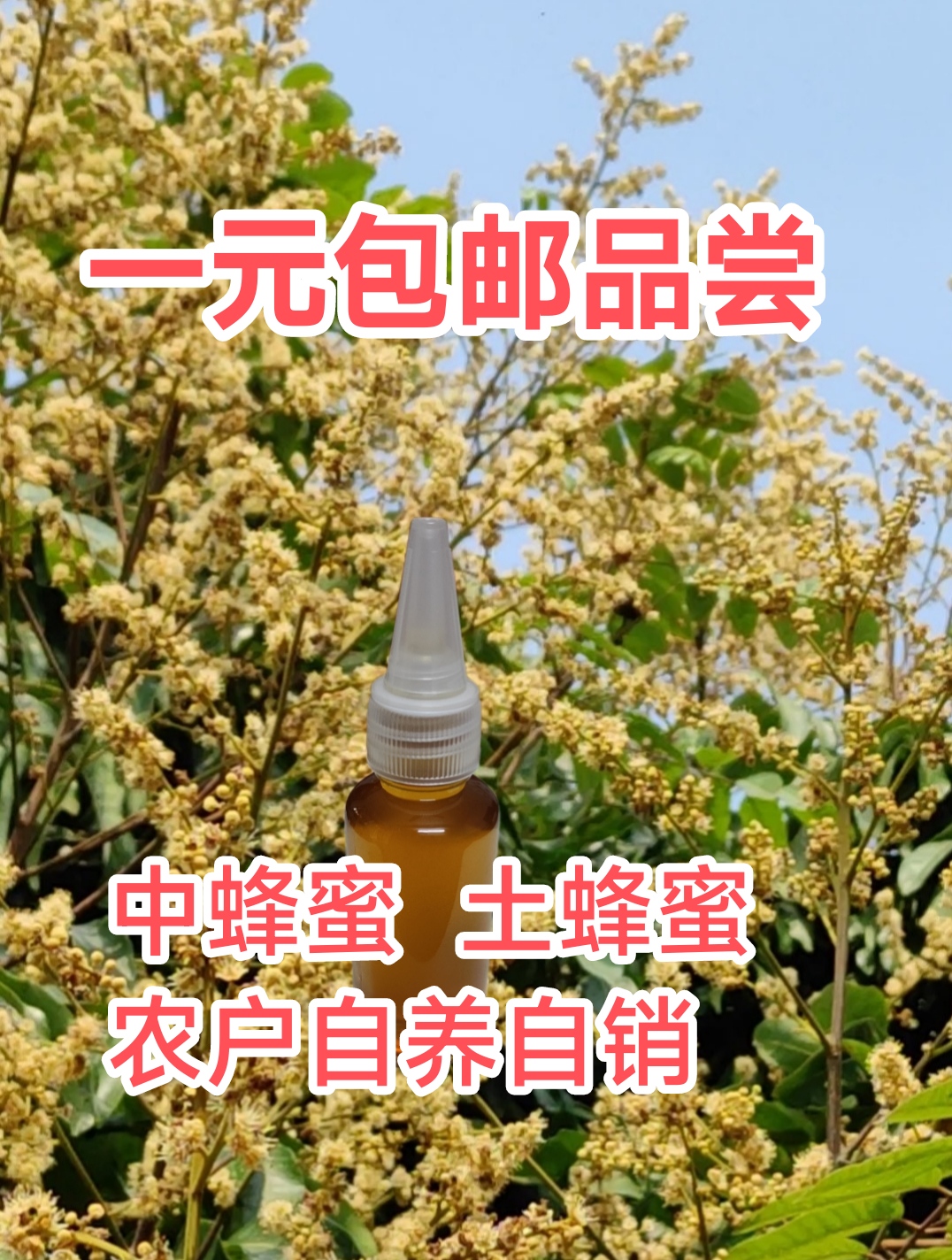 广东冬蜜蜂蜜中蜂蜜土蜂蜜百花蜜农家蜜纯天然零添加便携装挤压装