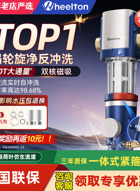惠尔顿前置过滤器家用入户净水器P0038MAX自动反冲洗全屋大通量