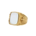 Golden White Shell