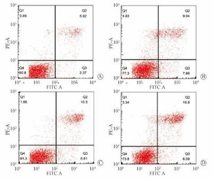 流式数据分析-流式细胞专业优质快速当日达modift,flowjo,FCAP