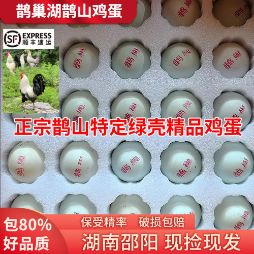 鹊山鸡特定绿壳精品鸡蛋包80%好品质精品不纯包赔现捡顺丰包邮