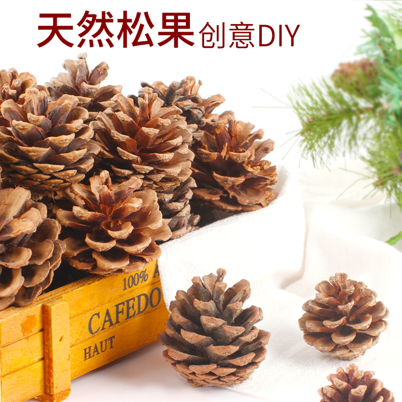 儿童手工diy松果材料用品