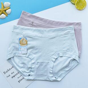 彩田莫代尔棉女士内裤 32721 石墨烯抗菌中腰柔软透气亲肤包臀舒适