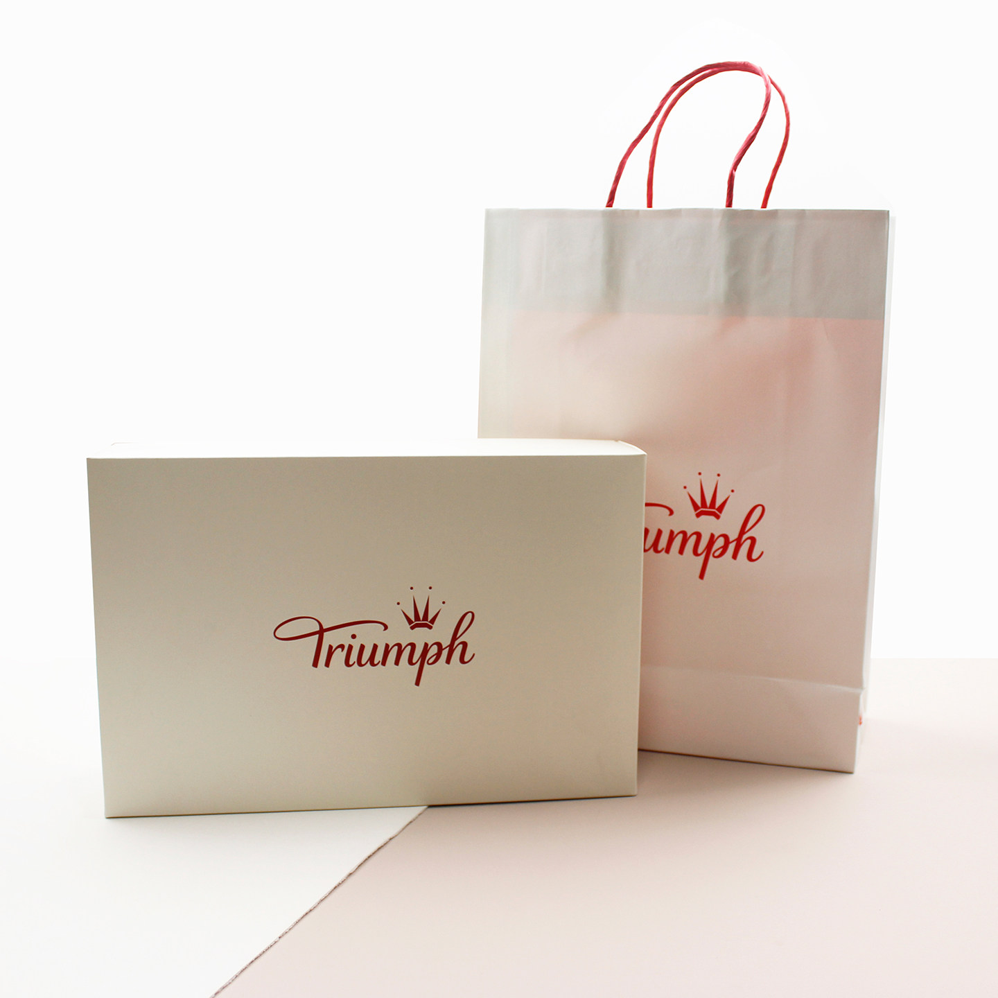 黛安芬文胸内衣礼品包装盒手提袋