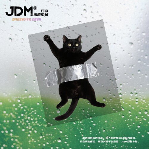 JDM搞笑猫咪黑猫车身贴纸