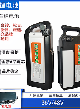 台铃雅迪爱玛电动车通用锂电池48v送充电器36伏电瓶12ah20ah手提