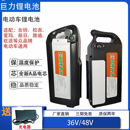 台铃雅迪爱玛电动车通用锂电池48v送充电器36伏电瓶12ah20ah手提